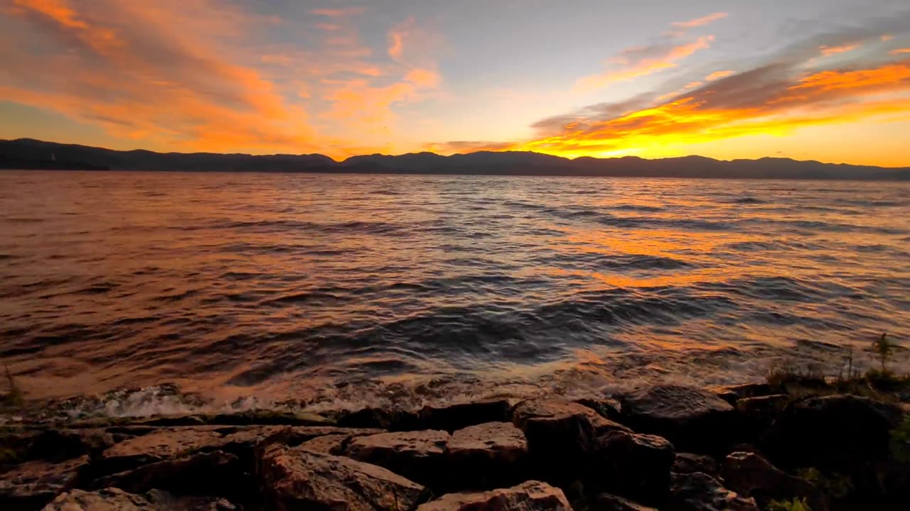 When will we go to see the sea together?
