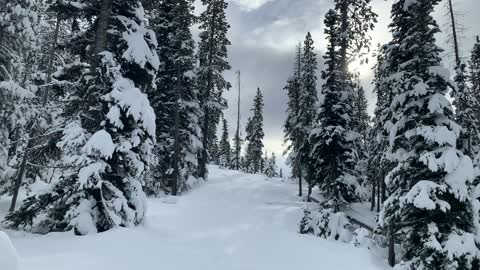 Dark & Snowy Day – Central Oregon – Vista Butte Sno-Park – 4K