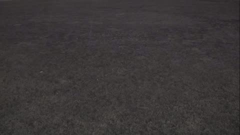 7231USCG00EastFrontHouseEgg_2021-01-05_19h06min14s983ms.mp4