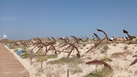 Algarve, Praia do Barril (july 2022)