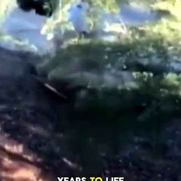 One Juror stated "ACAB" and ended up being selected...