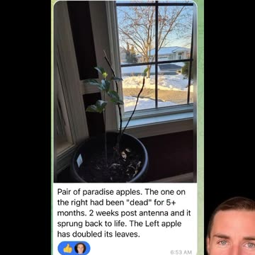 Electroculture indoors