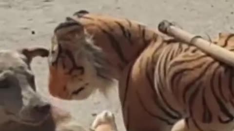 fake tiger prank dog