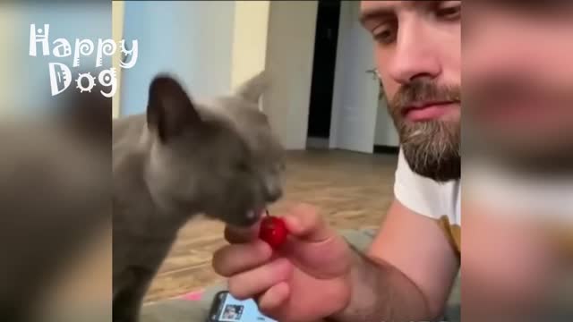 Funny Animals 😺🐶 Funny Animals Dogs Funny Cats Funny Funny Animals