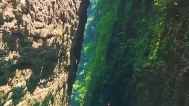 NATURE VIDEO WHATSAPP STATUS 2022