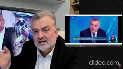 Защо ВСЪЩНОСТ искат да избият овцете