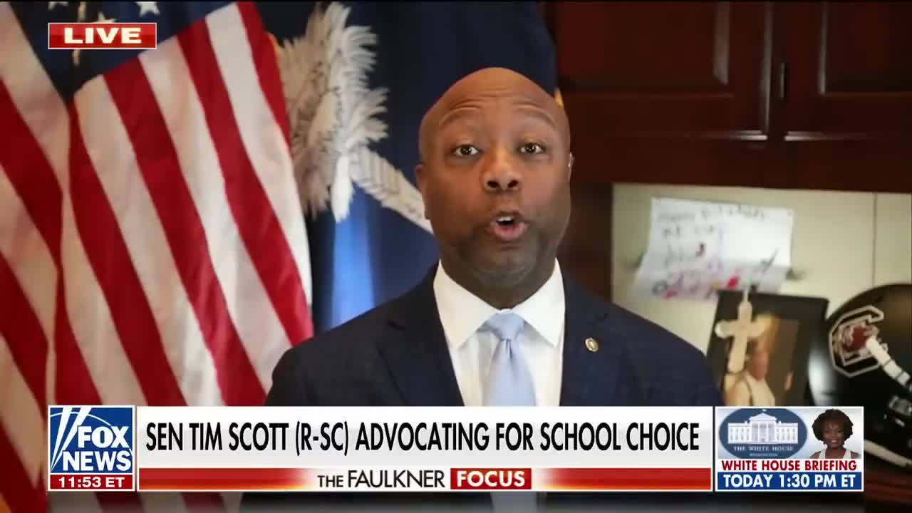 Tim Scott:This Is All About Power