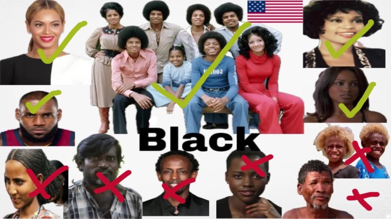 TheMythDetector: Why Only Americans Can be Black ?