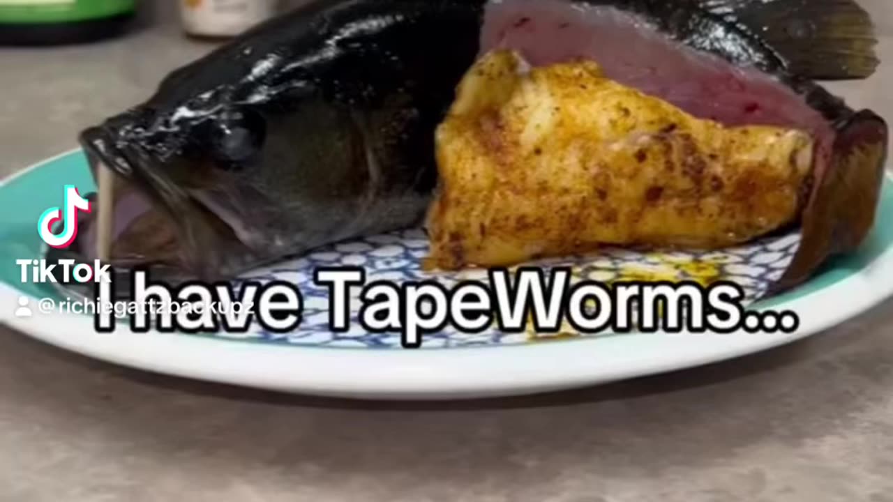 *eats fish with tapeworms* Doctor: “you have tapeworms” him: 🤯