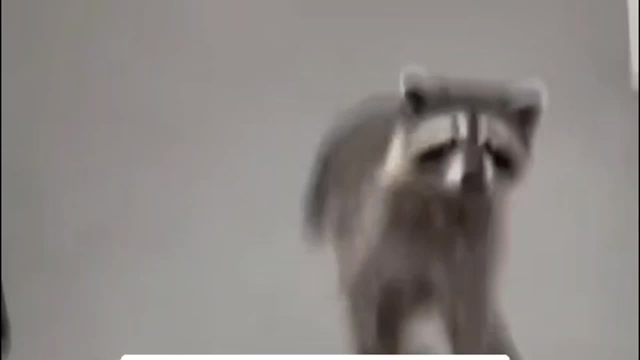 AMERICAN ROBBERY 😂🔥 - #funny #funnyfails #funnyvideo #humor #humour #humormemes #fails