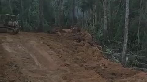 Buka jalan di hutan