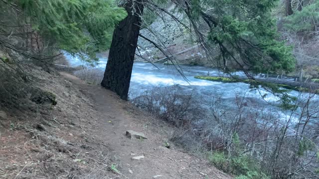 GORGEOUS River Wilderness Area – Metolius River – Central Oregon – 4K