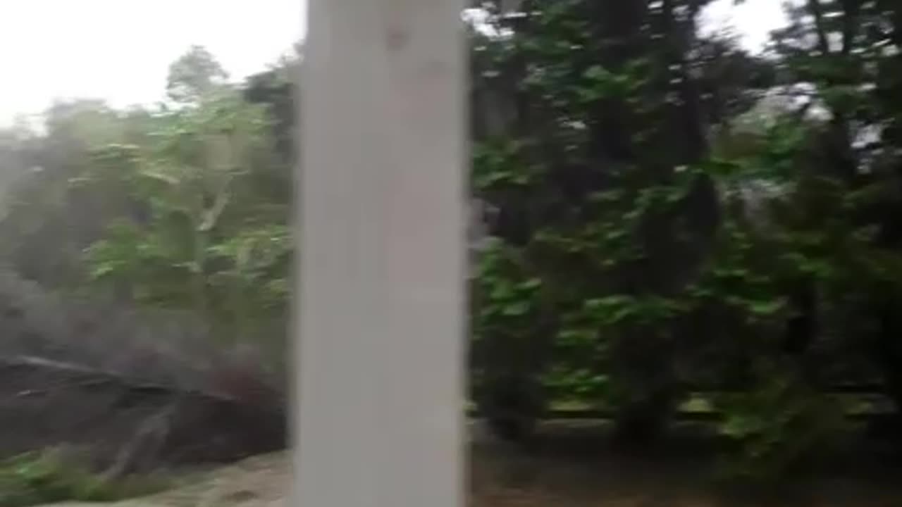 Sheer & Utter Devastation