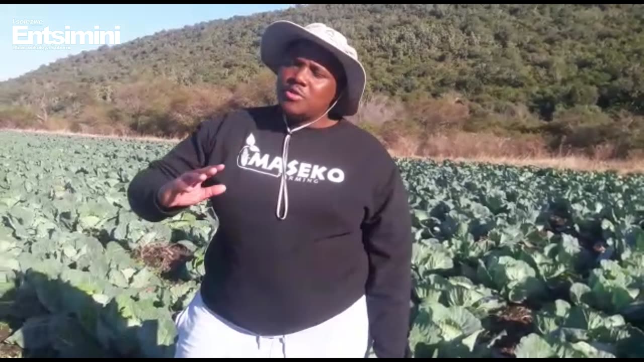 Ucela uncedo umfama uSihle Maseko