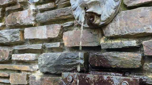 Peaceful Water Fountain with Nature Sounds