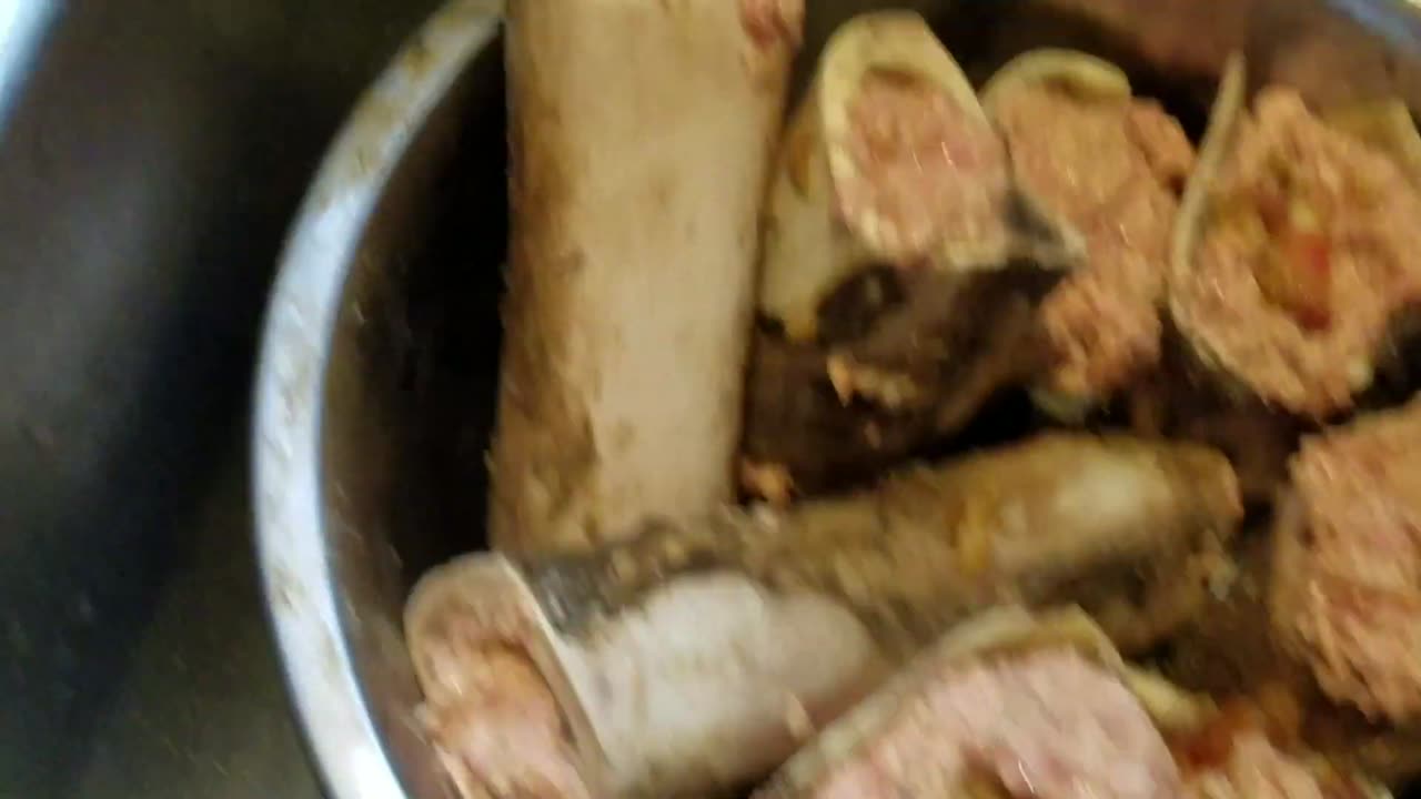 How I make my own German Shepherds dog food .
