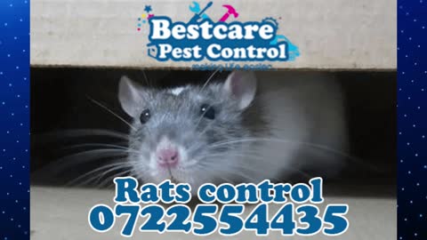 Pest Control Services in Nairobi Kenya 0722466091