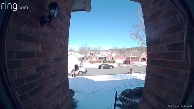 FedEx Delivery Man Slides Down Front Yard