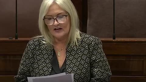 Stephen Donnelly accused Verona Murphy of spreading 'anti-vax information' in the Dáil