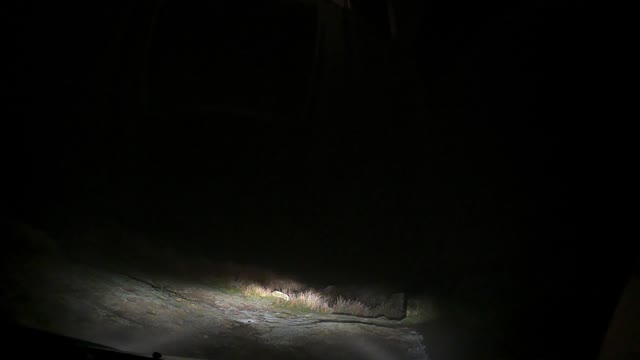 Driving to Warren inn Dartmoor 12th Dec 2022