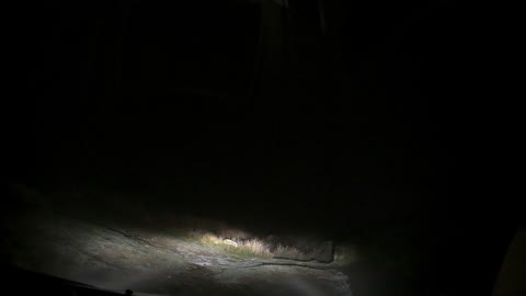 Driving to Warren inn Dartmoor 12th Dec 2022