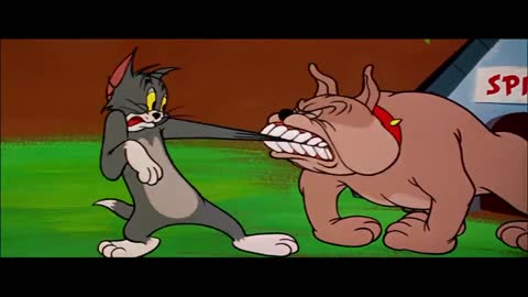 Tom & Jerry | Tom & Jerry in Full Screen | Classic Cartoon Compilation | WB Kids