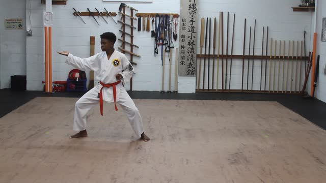 Sean Davis 13 year old boy Beginner