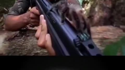 Military