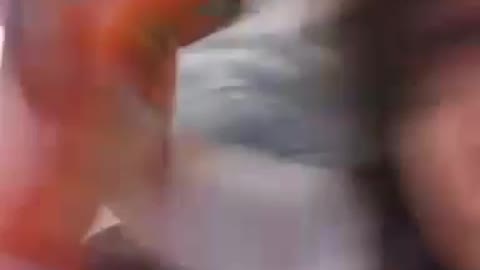 Eating candy by Jack the Irish wolfhound