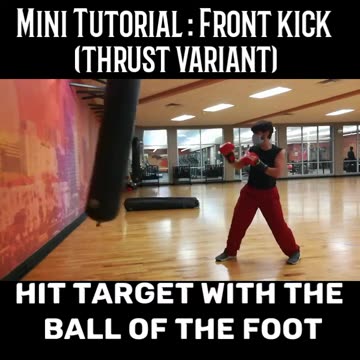 Martial Arts Mini Tutorial: Front Kick (Thrust Variant)