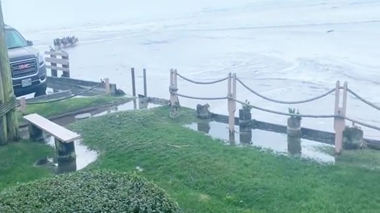 Elk heard running down the beach Oregon