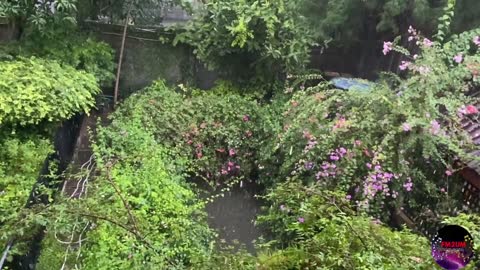 Relaxing Music | Sleeping, Meditation, Stress Relief | [5959] ⭐️