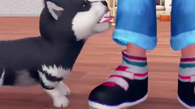 33.🍖 Rich Dog vs 🦴 Poor Dog _ Scary Teacher 3D Funny Game #shorts #9