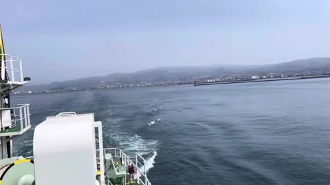 #FerryRide#BoatLife#WaterTransport#ScenicViews#TravelSea#MarineAdventure#WaterJourney#Japan#Hokkaido