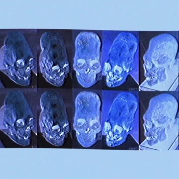 HIDDEN IN PLAIN SIGHT 👀👀👀👀👺👺👺👺