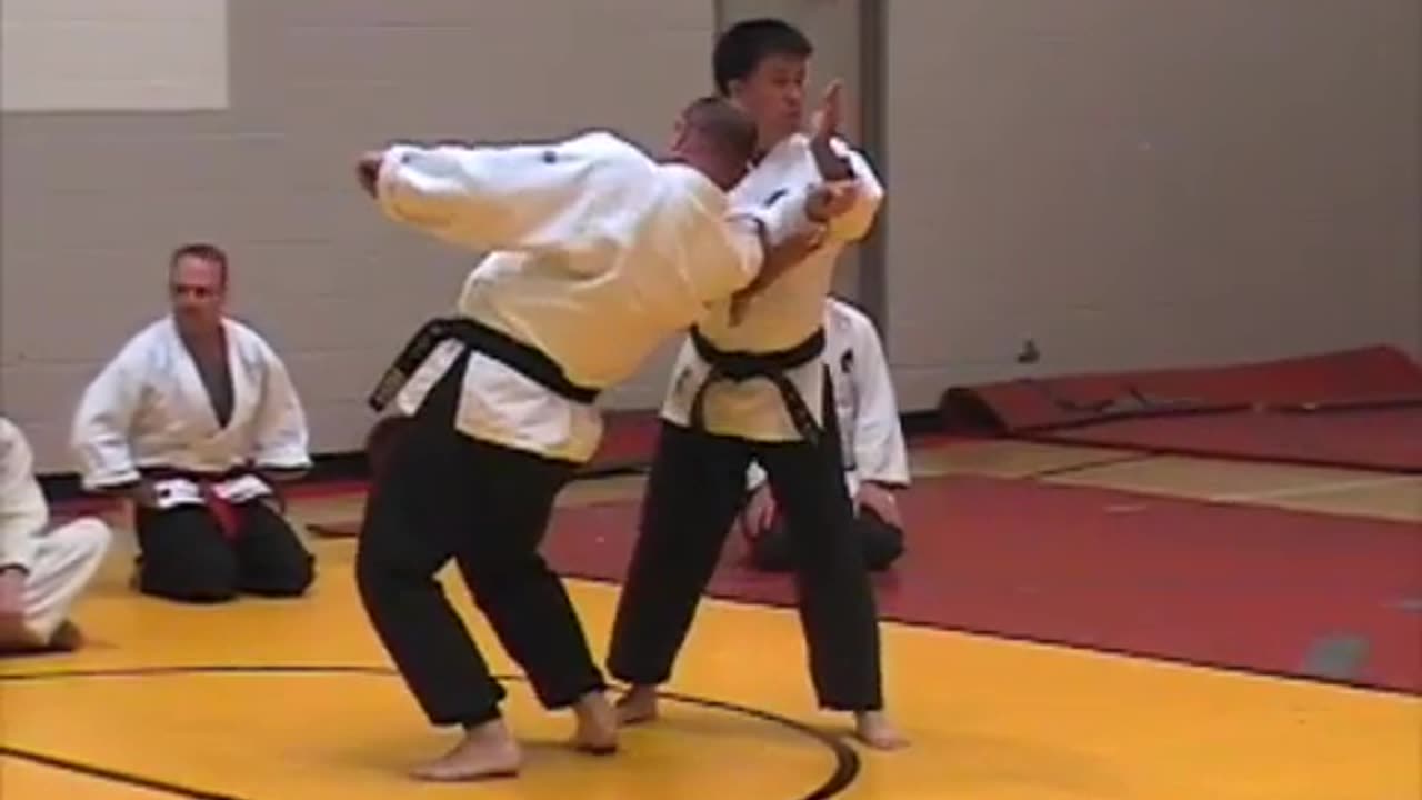 Hapkido Seminar