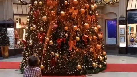 Leftists Spray Poison On Christmas Tree