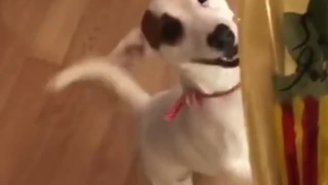 Bring me flowers and tell me I’m pretty!!!
