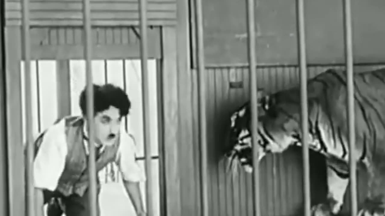 charlie chaplin,lion cage killer, comedy