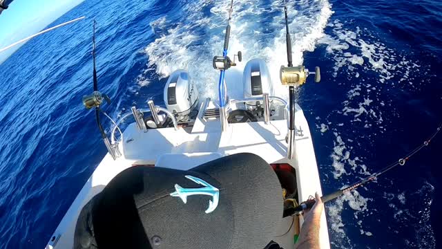 Doubled up on Papa's Dream