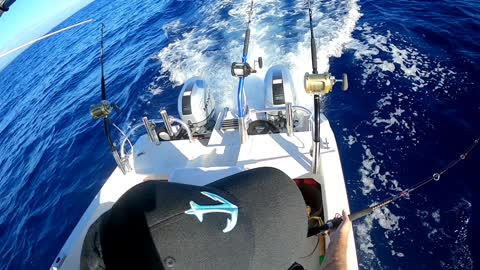Doubled up on Papa's Dream