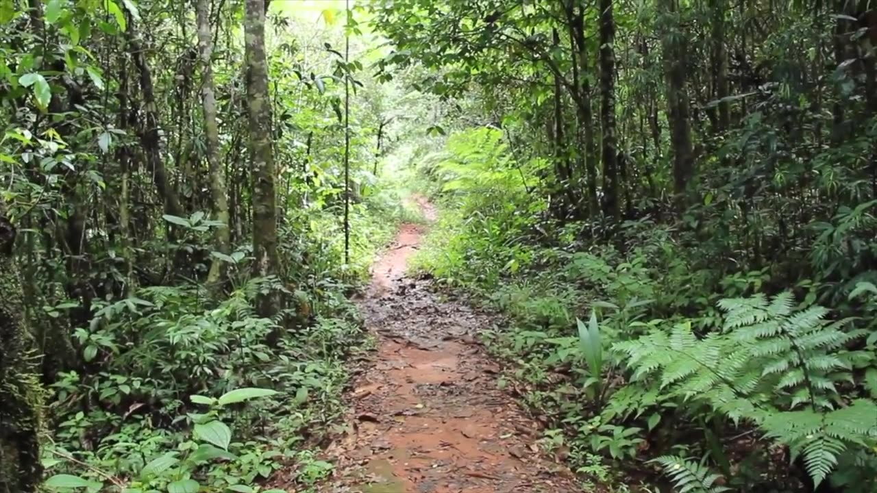 Korovou Resort in Fiji