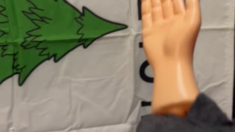 SPH goes naughty with a flag. #georgewashington #appealtoheaven #funny #tinyhands #flags