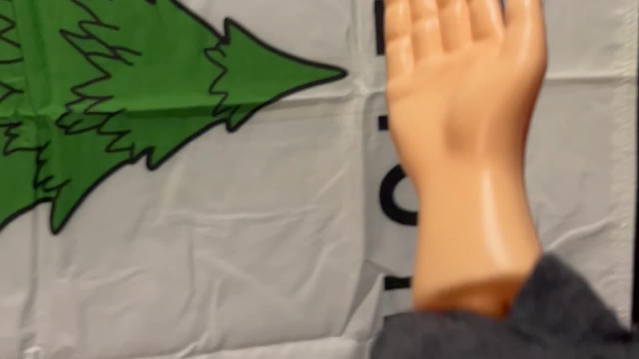 SPH goes naughty with a flag. #georgewashington #appealtoheaven #funny #tinyhands #flags