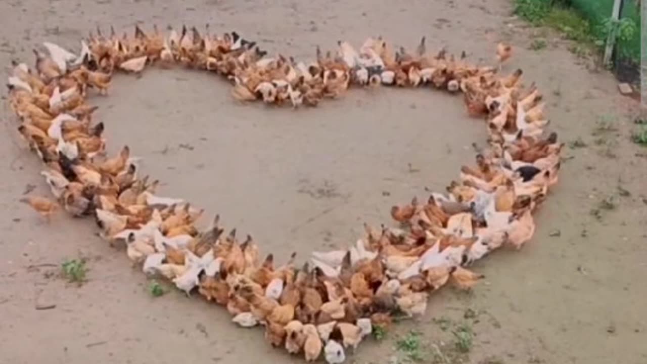 loving this scene 🥰🥰