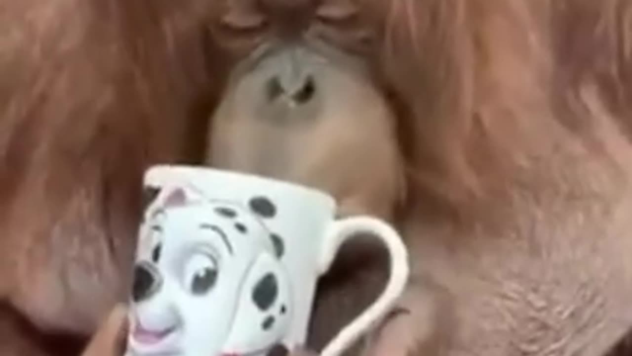 One of those mornings