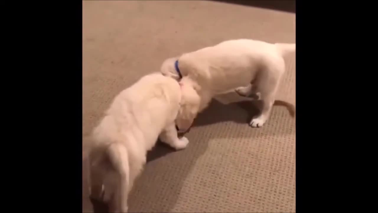 Episode 5 - Cannot stop laughing