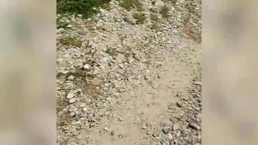 A Tank of Corn Collapses