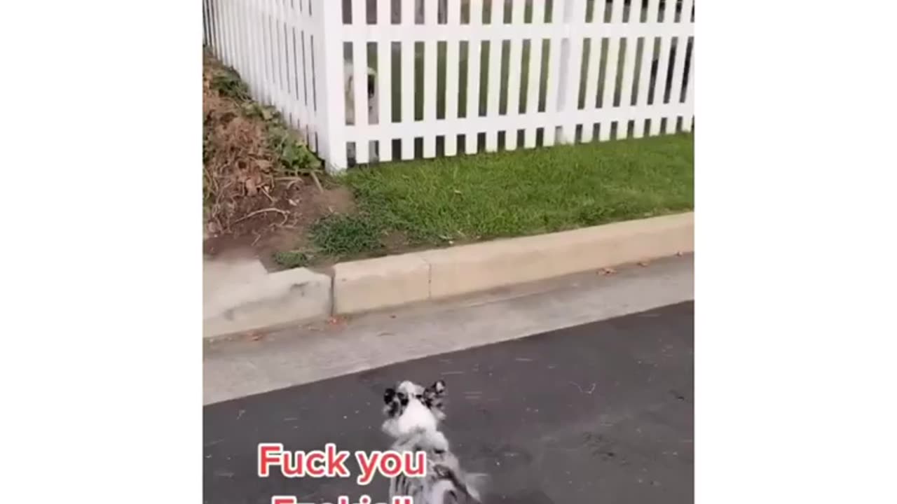 F* you Tony