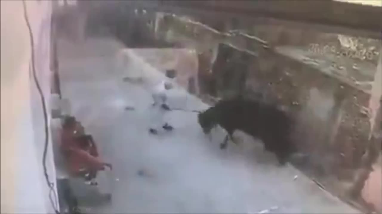 INSTANT KARMA- MAN HITS BULL WITH A STICK AND GETS FUCKED UP FOR IT.